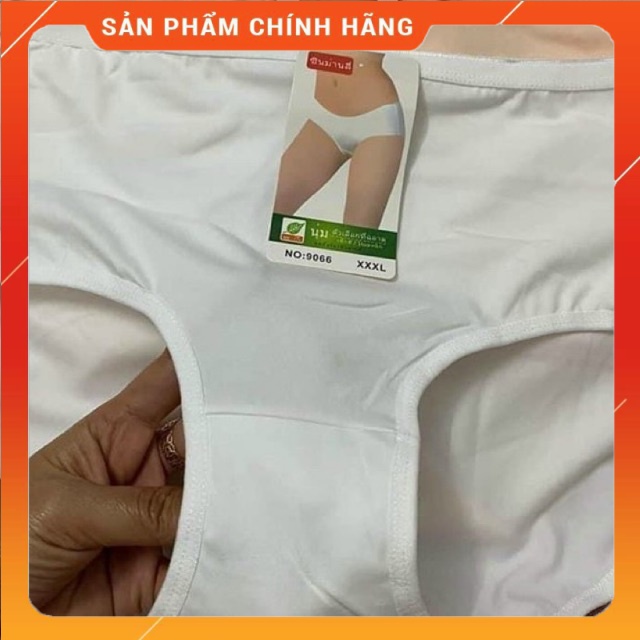 🔥 SUPER SALE 🔥 Quần lot cotton 50-70kg mát mẻ thoáng khí, co giãn | BigBuy360 - bigbuy360.vn