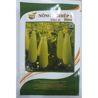Hạt giống bầu xị