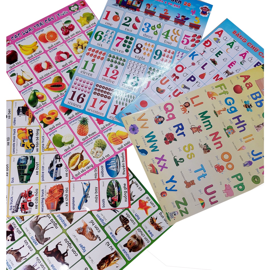 Combo 6 tờ decal nhựa dán tường cho bé học  keo sẳn