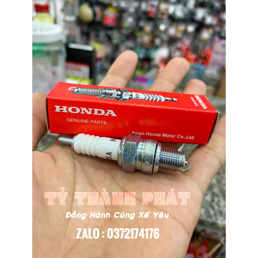 Bu Gi Honda zin NGK C6 chân ngắn