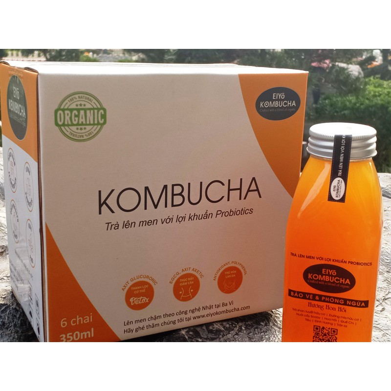 TRÀ KOMBUCHA - BẢO VỆ & PHÒNG NGỪA  HƯƠNG HOA HỔI THÙNG 6 CHAI.