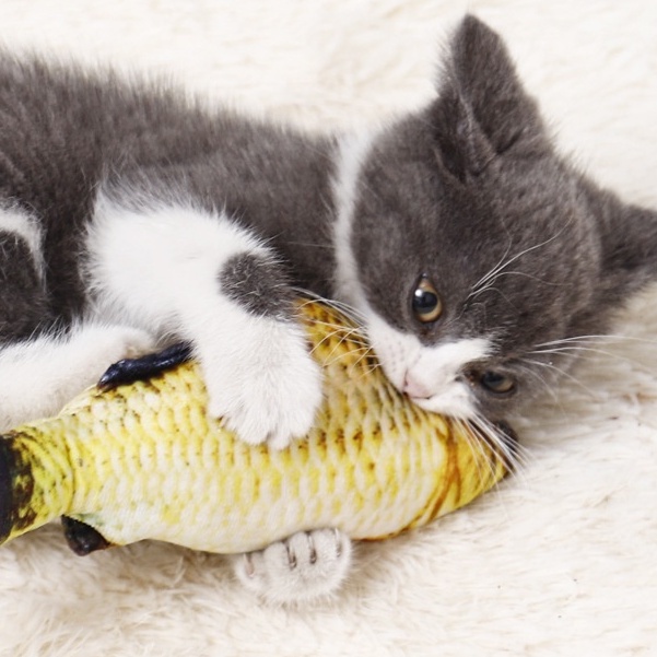 Đồ chơi cá chép bông 3D nhồi catnip cho chó mèo