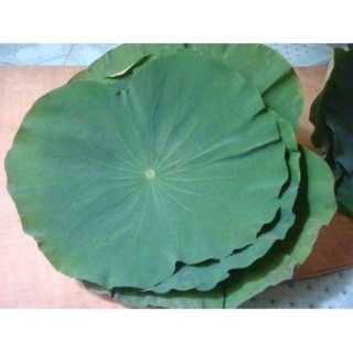 Bột lá sen sấy lạnh gói 100g