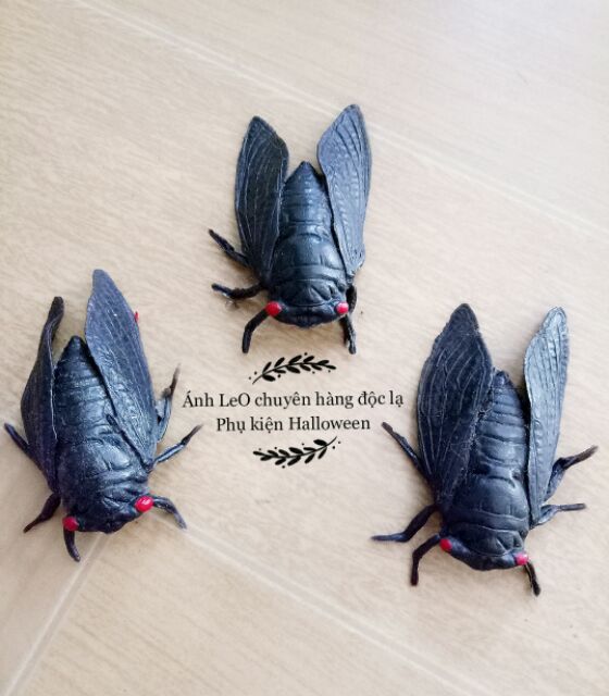 Đồ chơi Gián, rắn, nhện, rết...bằng su