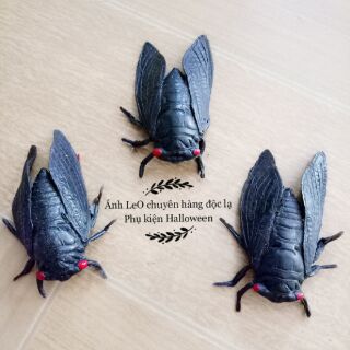 Đồ chơi Gián, rắn, nhện, rết...bằng su