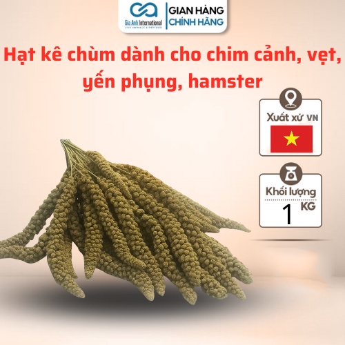 Hạt kê chùm dành cho chim cảnh, vẹt, yến phụng, hamster - Cung cấp dinh dưỡng cho thú cưng - Túi 1kg