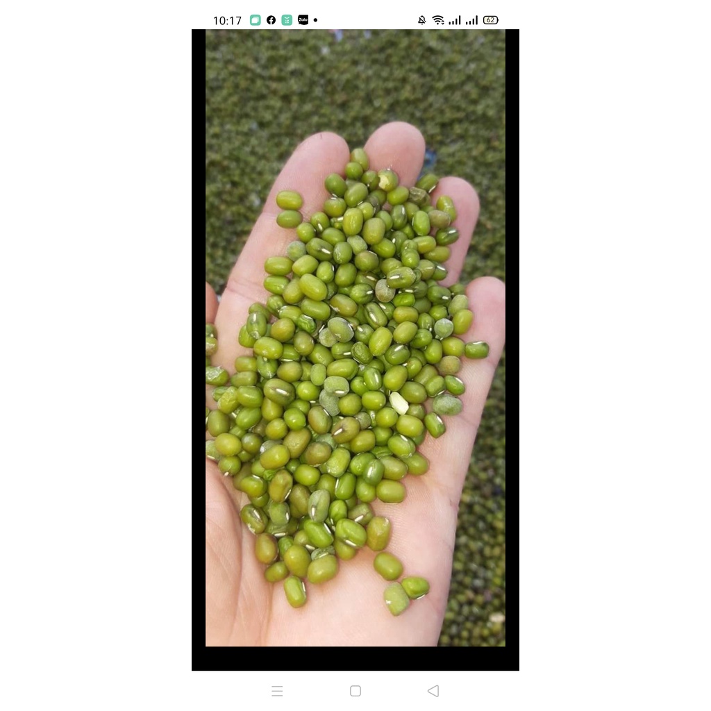 500gr bột đậu xanh nguyên chất nhà làm, NGON, SẠCH