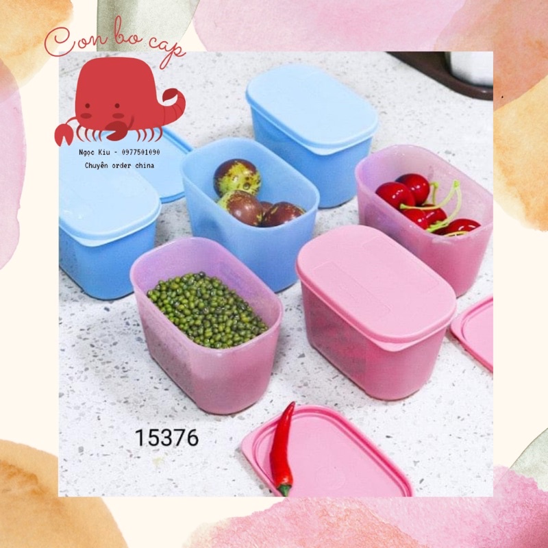 Set 6 Hộp Nhựa Trữ Đông 300ML Tupperware - Đựng Đồ Ăn Dặm Cho Bé