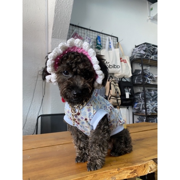 Áo ba lổ cho chó mèo