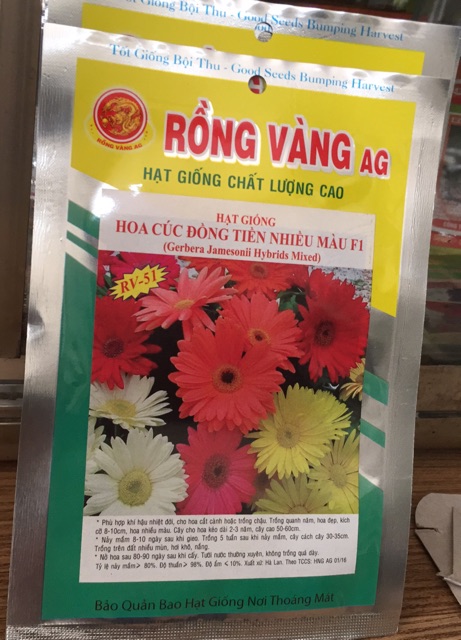 Hạt giống hoa đồng tiền nhiều màu- gói 0,1gr