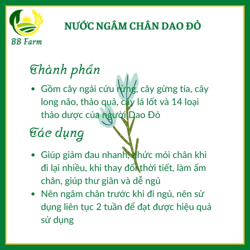 Nước ngâm chân Dao Đỏ 500ML cô đặc từ 15 loại cây thảo dược sản xuất bởi người Dao Đỏ xã Tả Phìn