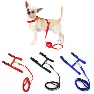 DÂY DẮT MÈO CƯNG ĐI DẠO CÓ THỂ ĐIỀU CHỈNH ĐƯỢC