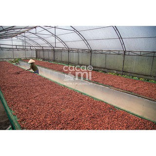 Bột cacao CacaoMi Original 1kg