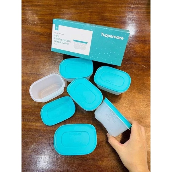 HỘP TRỮ ĐÔNG SIÊU DẺO 170ml