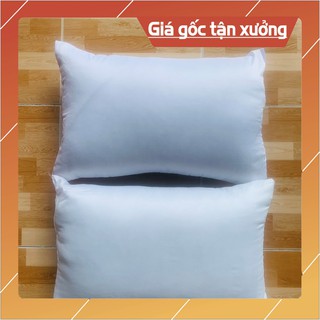 Combo 2 Ruột Gối Hơi 40x60cm