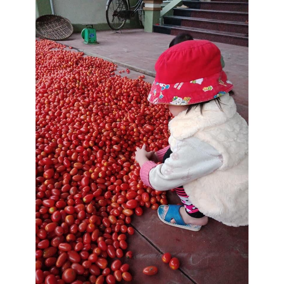 1KG MỨT CÀ CHUA BỊ SẤY DẺO ĐÀ LẠT SIÊU NGON DẺO