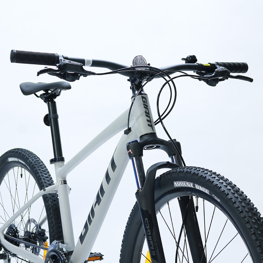 Xe đạp thể thao GIANT TALON 2 2021