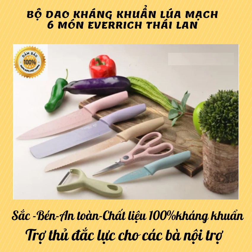 Bộ dao cắt nhà bếp Kitchen 6 món, nhiều màu sắc bắt mắt, thiết kế hiện đại (CÓ HỘP ĐỰNG)