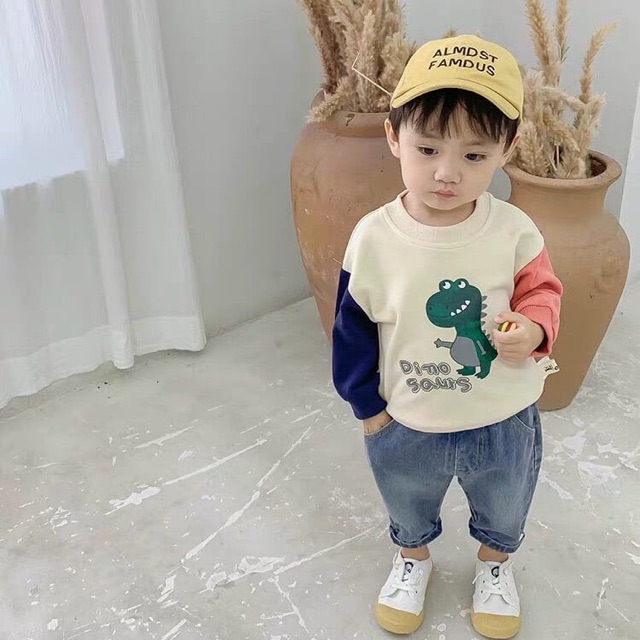 Áo nỉ da cá cho bé trai