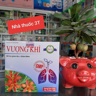 Vượng khí - giảm ho, giảm đờm, bổ phổi, nâng cao sức khỏe hô hấp, dạng ống tiện dụng. Hộp 10 ống.