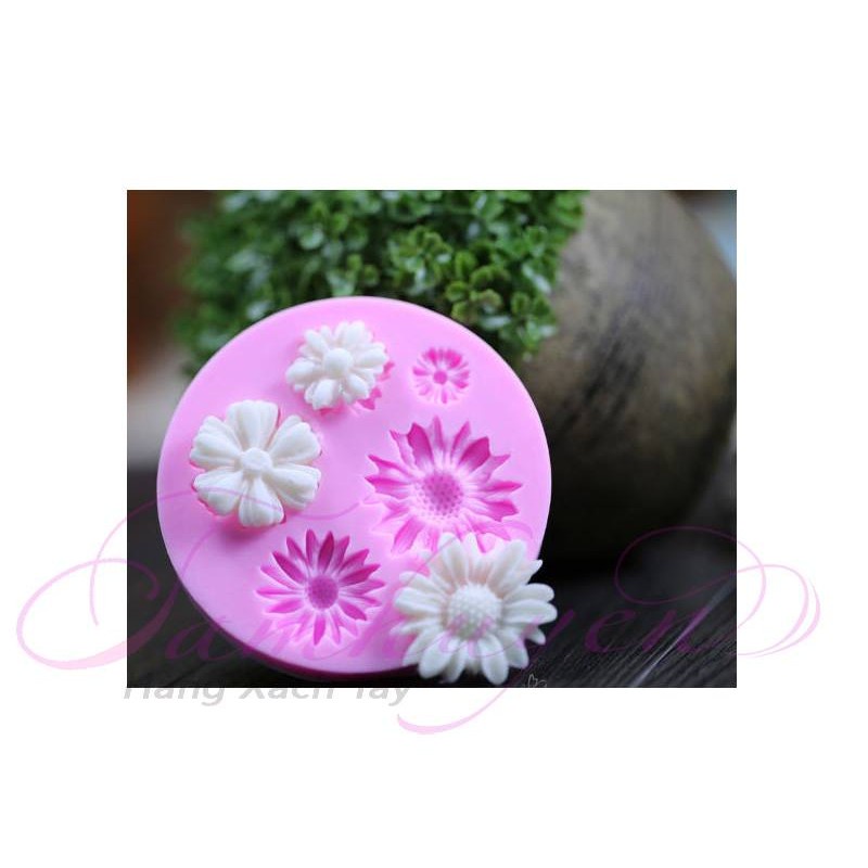 Khuôn silicon- khuôn tròn 6 hoa cúc