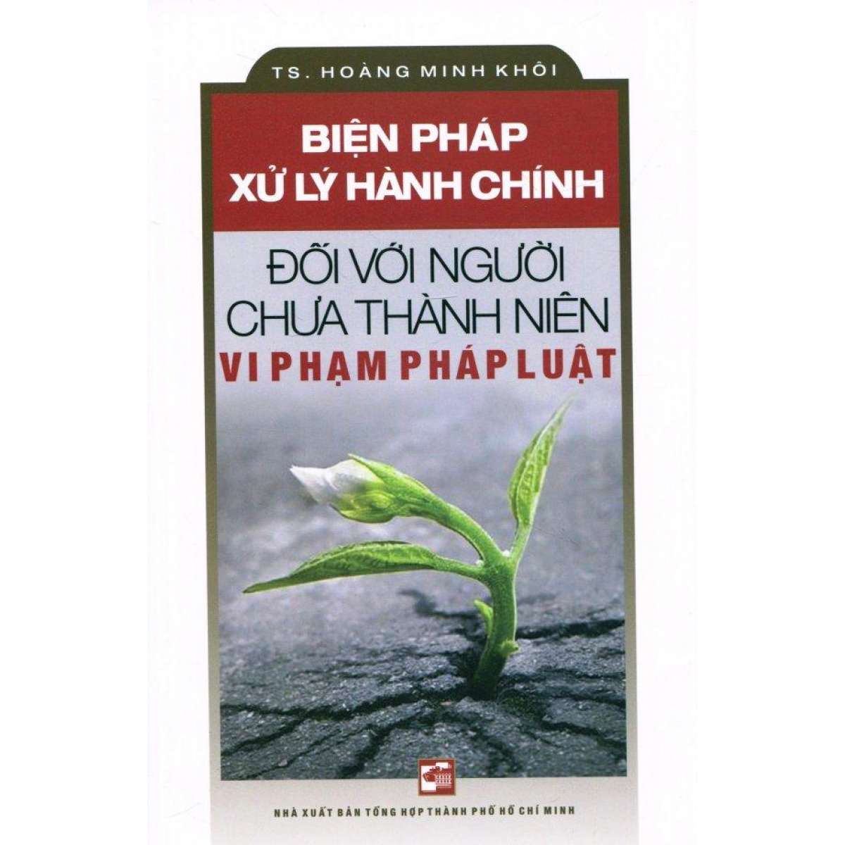 Sách Biện Pháp Xử Lý Hành Chính Đối Với Người Chưa Thành Niên Vi Phạm Pháp Luật | BigBuy360 - bigbuy360.vn