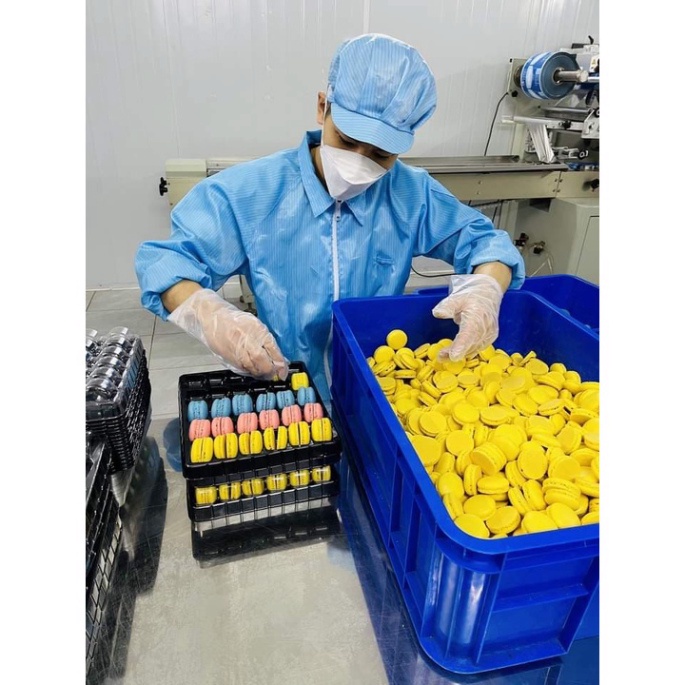 đồ trang trí làm bánh kem [FREESHIP❤️] Vỉ 30 chiếc bánh macaron siêu ngon