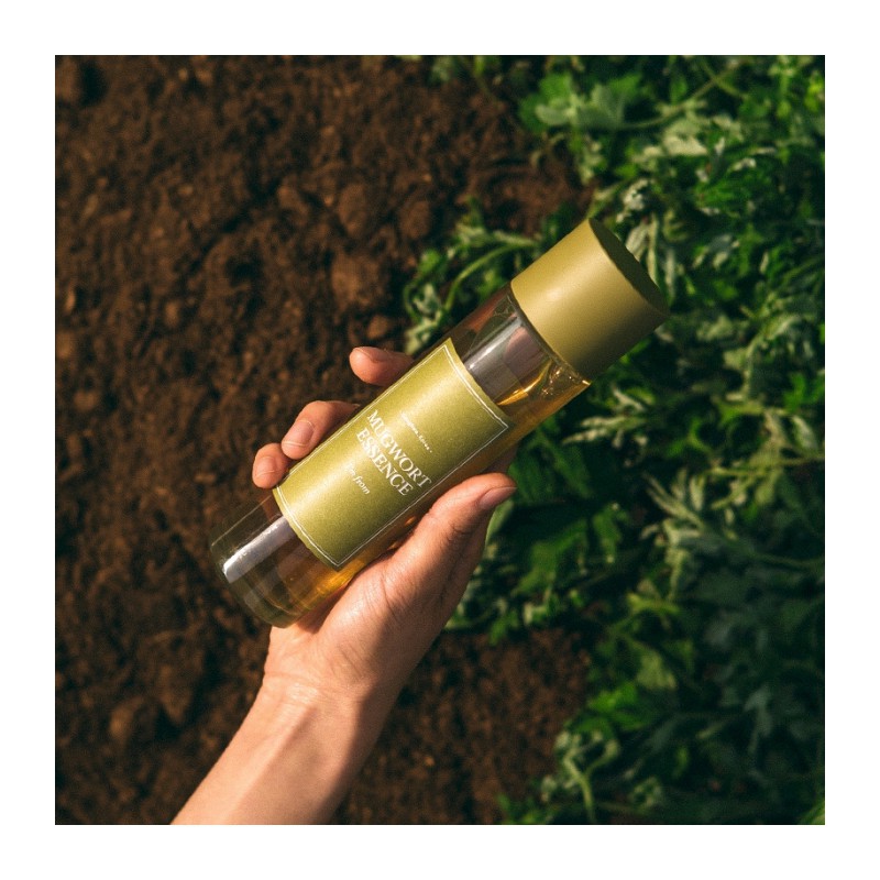 Tinh chất ngải cứu Toner I'm From Mugwort Essence 160ml - Miss Xinh