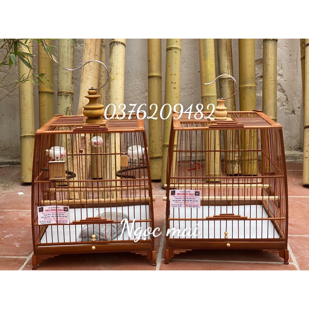 KHUNG LỒNG CHIM TRÚC CHÀO MÀO THÁI ĐẤU, VUÔNG ĐẤU ĐẸP CHẮC CHẮN GIÁ RẺ TỰ RÁP SIÊU DỄ