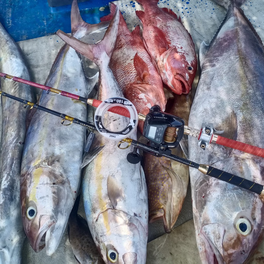 Dây câu cá Nylon Tyoz, dùng làm leader, thẻo câu ngâm cá biển lớn.