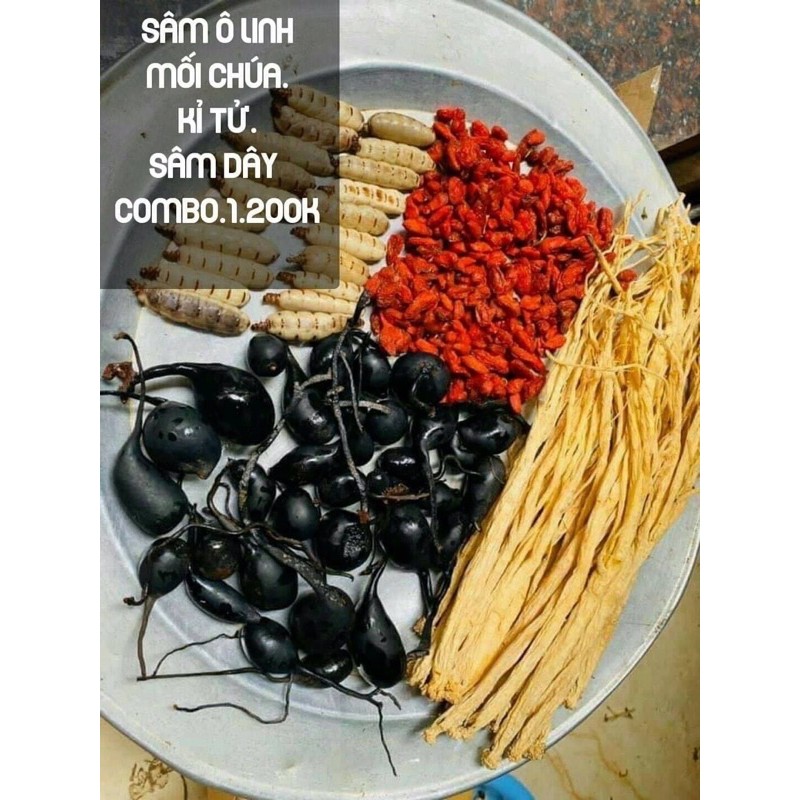 COMBO BÌNH SÂM