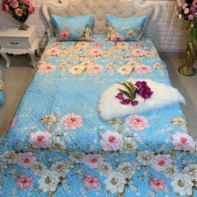 Com bo 5 món cotton poly