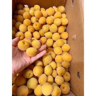 sỉ 5kg nước mơ ngâm đường