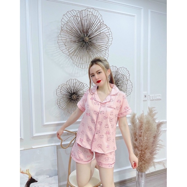 Bộ pijamas chất đũi hoạ tiết nhiều hình mặc nhà, Đồ ngủ xinh quần đùi áo cộc mặc mát cho mùa hè