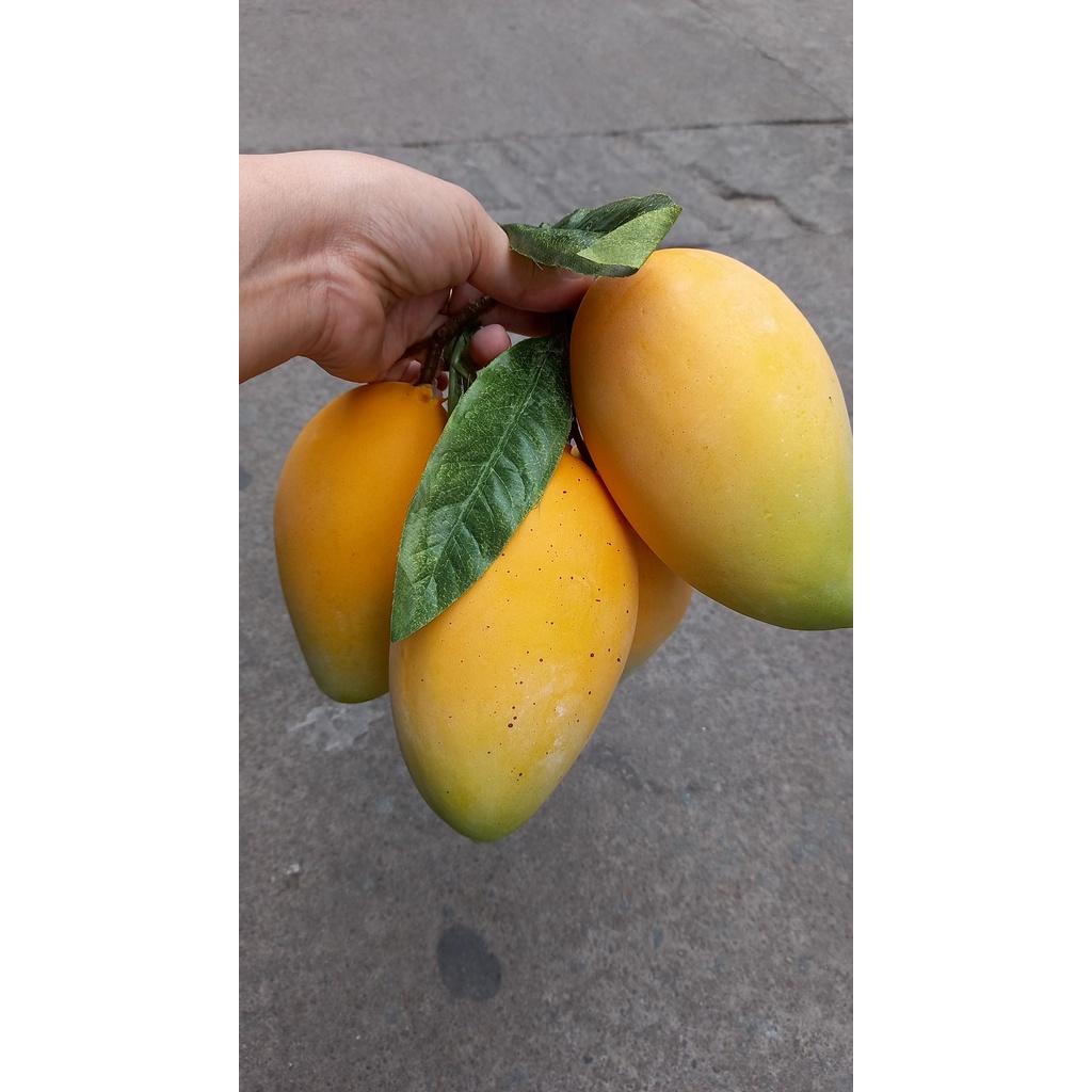1 Trái xoài giả - Trái cây giả - Hương Flower