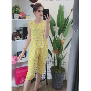 combo bộ lanh cánh tiên quần ngố