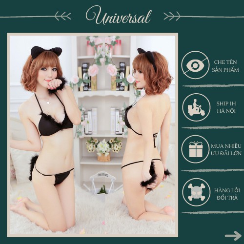 Đồ Cosplay Chú Mèo Dễ Thương Sexy - Set Mèo Con Siêu Gợi Cảm Và Quyến Rũ UNIVERSALXXX - DCP11