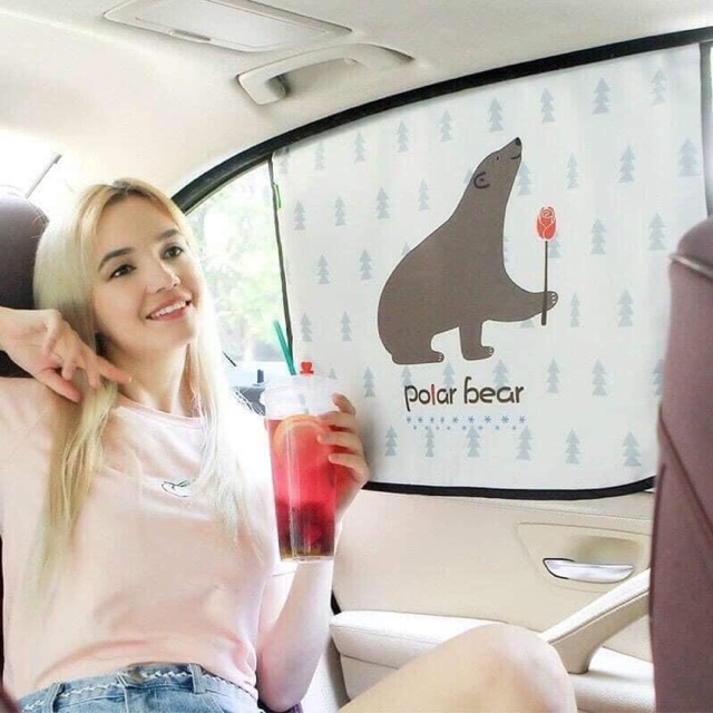 Tấm chắn nắng Ô Tô
