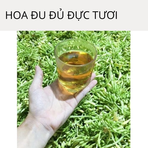Hoa Đu Đủ Đực Tươi 250gam - RẤT TỐT CHO SỨC KHỎE