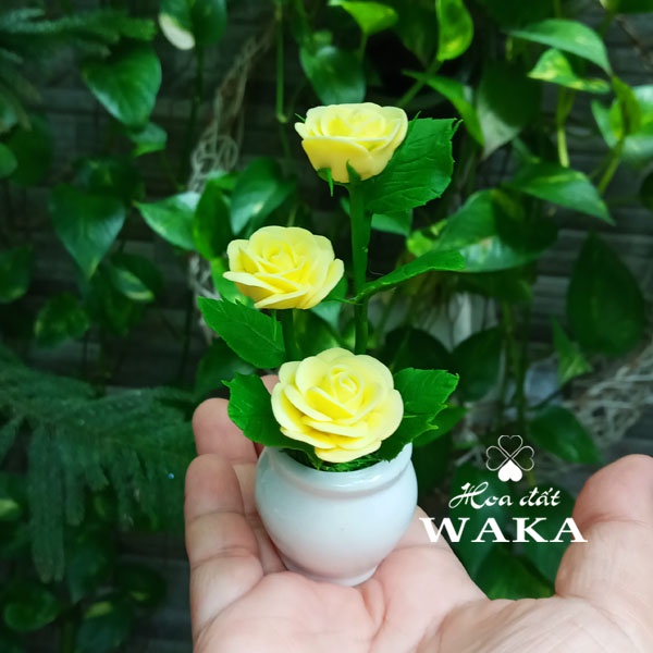 Hoa Đất Sét Mini- Hồng