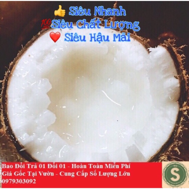 (SIÊU HOT) Dừa Sáp Trà Vinh Loại 2 - CAM KẾT CHẤT LƯỢNG SẢN PHẨM