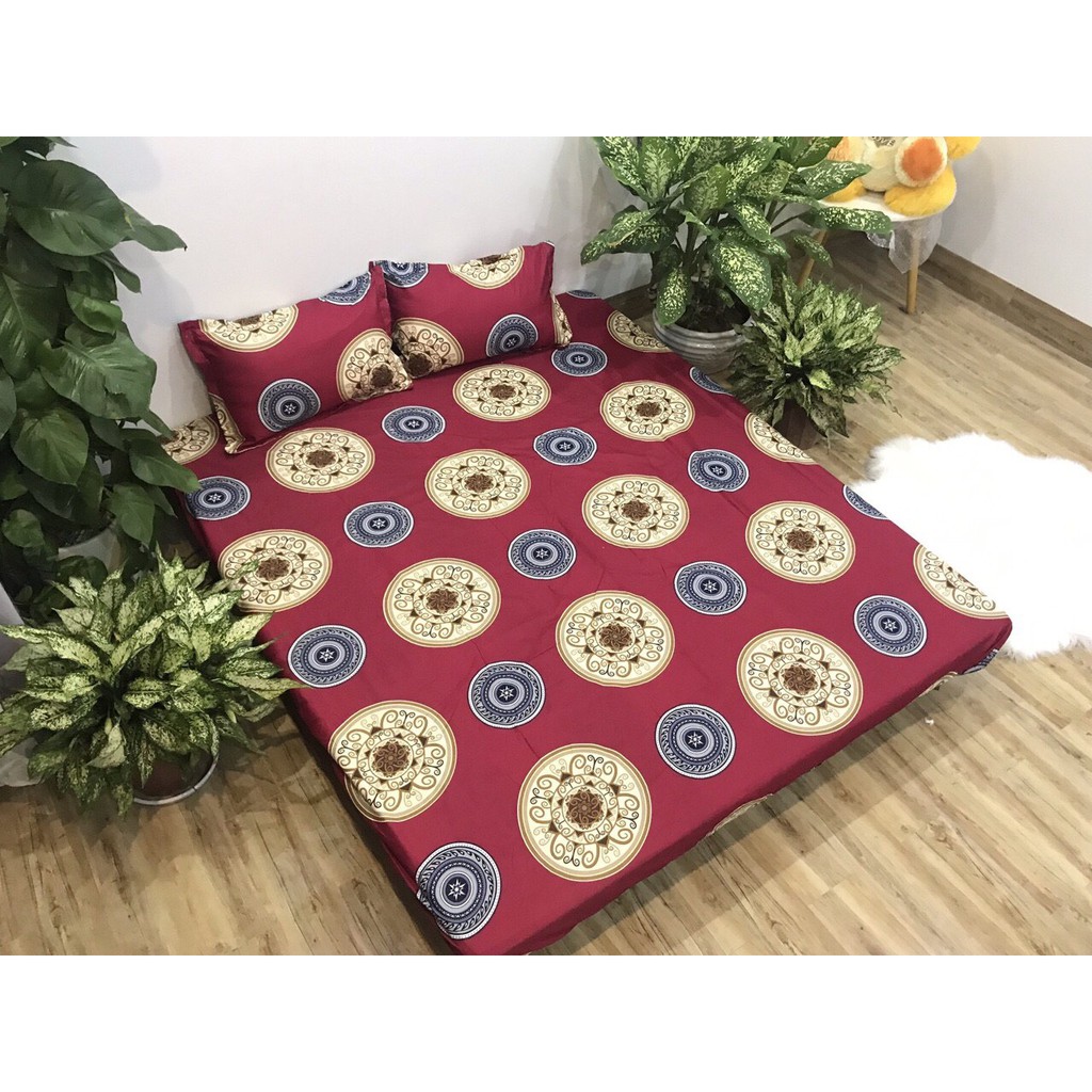 Bộ ga chun và 2 áo gối nằm Emmidecor - mẫu đồng tiền đỏ, drap cotton poly