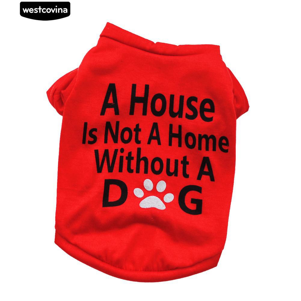 Áo in chữ tiếng Anh thời trang dành cho cún
