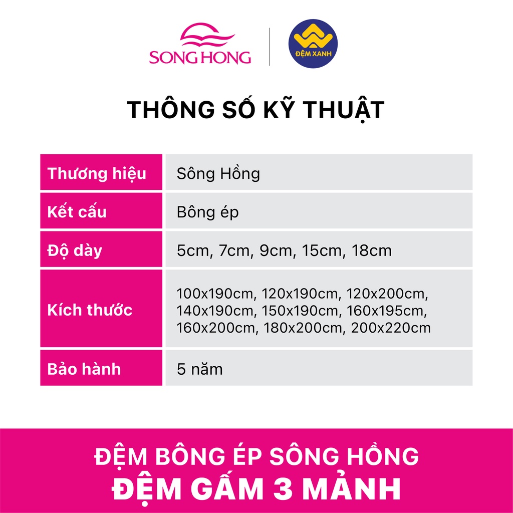 [Hàng chính hãng - có bảo hành] Đệm Sông Hồng bông ép tinh khiết vải gấm 160x200x15
