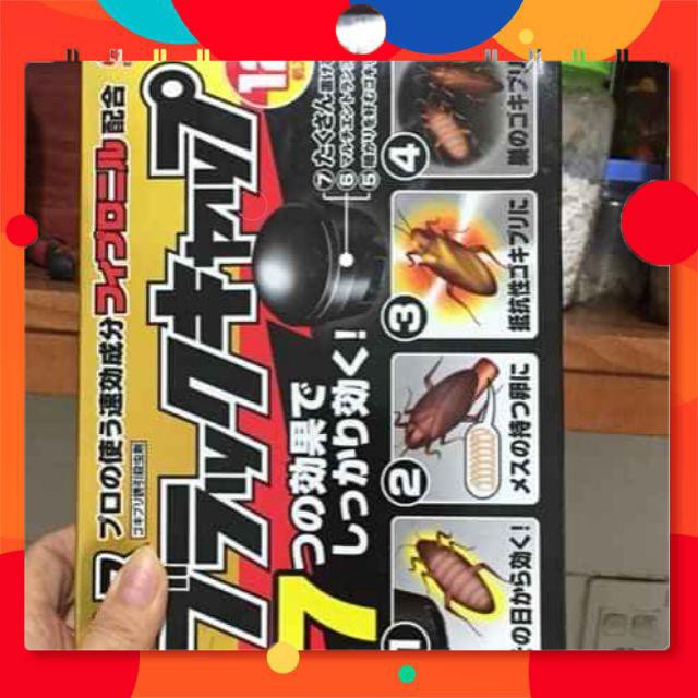 [ SALE TƯNG BỪNG] Hộp 12 viên diệt gián Nhật Bản cực kì nhậy và an toàn.