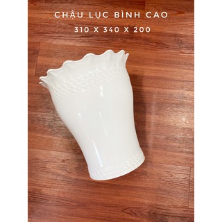 chậu nhựa lục bình