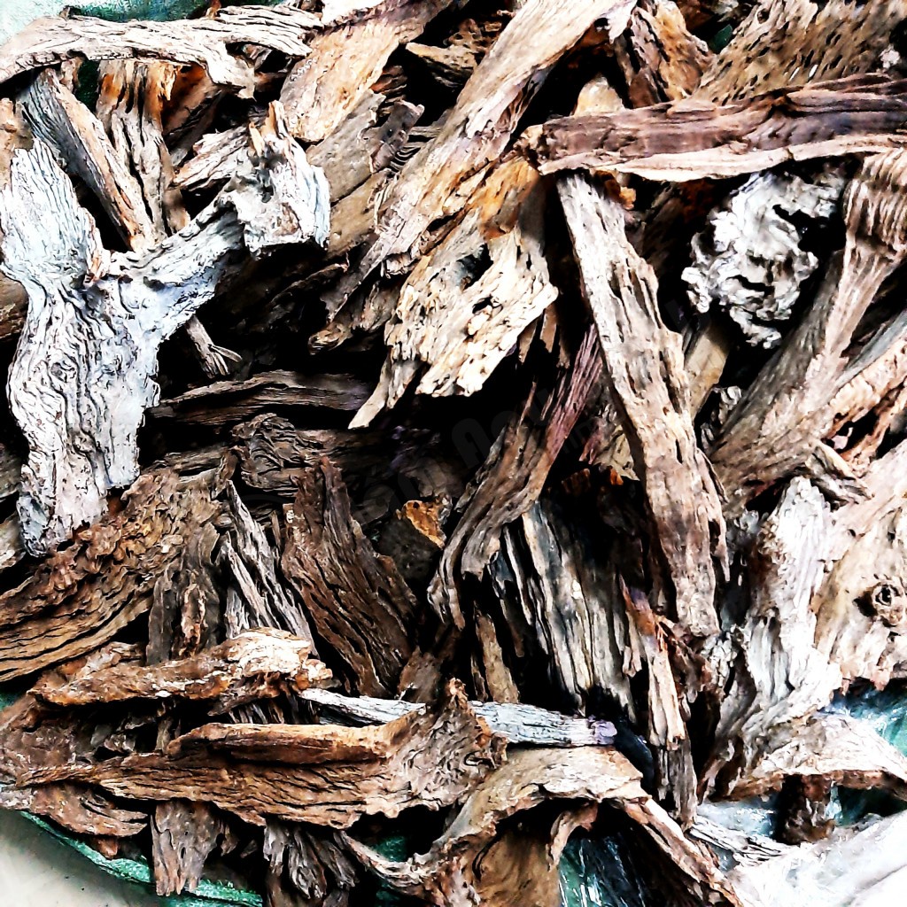 Lũa săn đá làm cảnh trong hồ thuỷ sinh