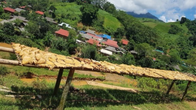 1kg măng Rừng khô