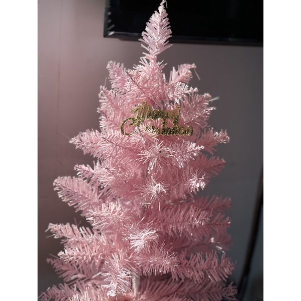 Thông noel hồng 55cm