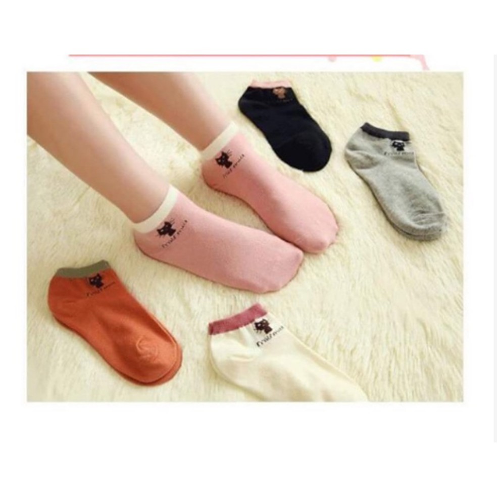 Sét 10 Đôi Tất Nữ Họa Tiết Hình Mèo cổ Ngắn